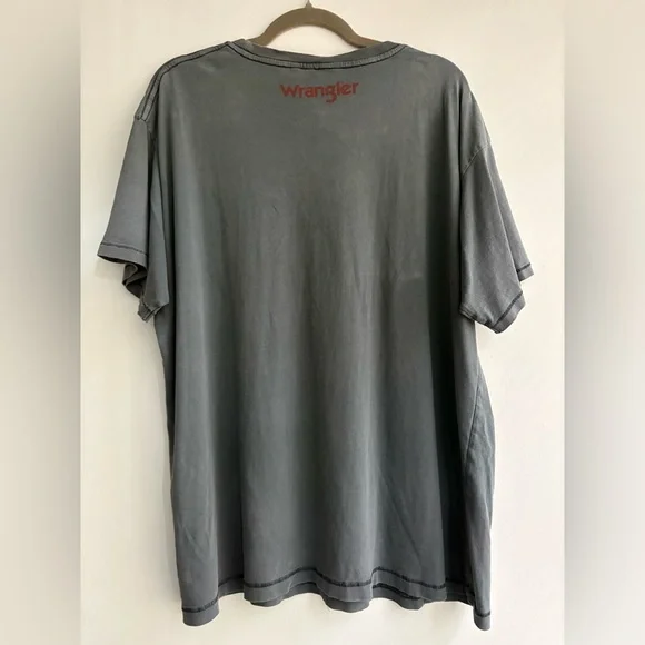 Free People Wrangler Oversized Tiger Tee🔥 - Picture 3 of 16